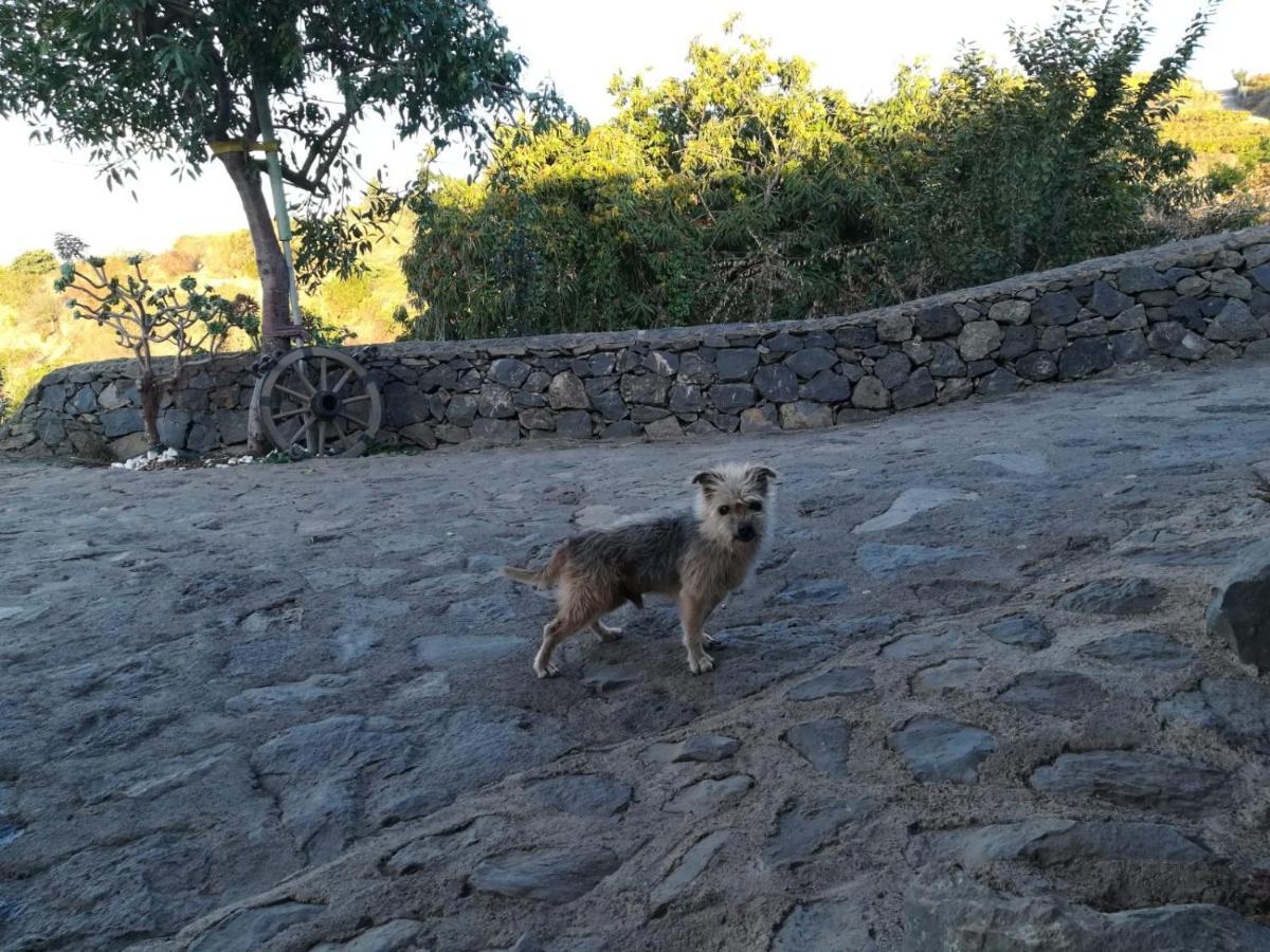 Finca Rural House Tenerife Relax And Enjoy サンタ・ウルスラ エクステリア 写真