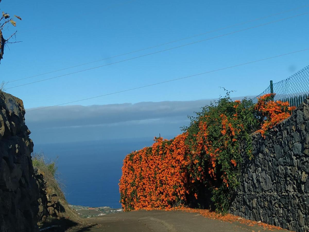 Finca Rural House Tenerife Relax And Enjoy サンタ・ウルスラ エクステリア 写真