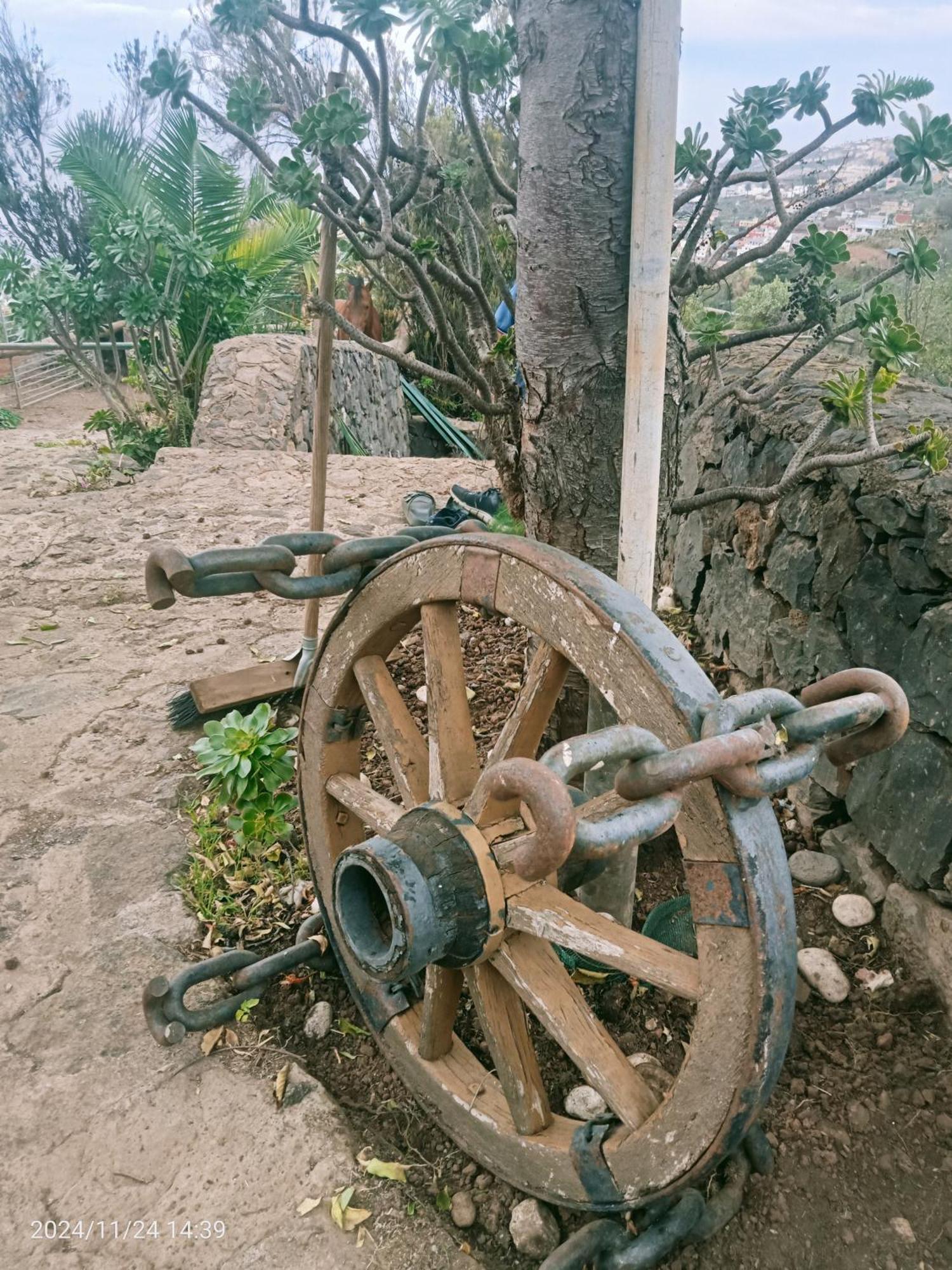 Finca Rural House Tenerife Relax And Enjoy サンタ・ウルスラ エクステリア 写真