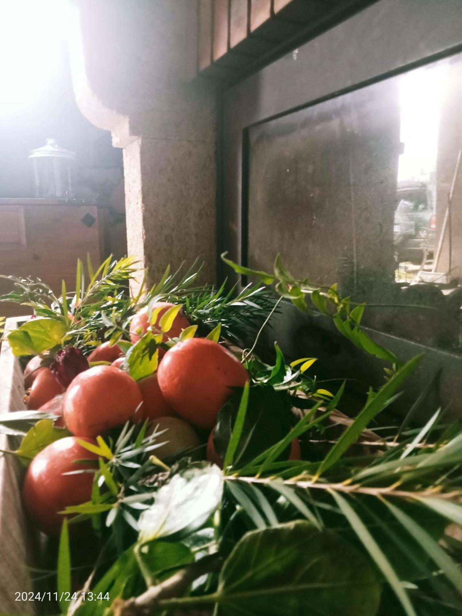 Finca Rural House Tenerife Relax And Enjoy サンタ・ウルスラ エクステリア 写真