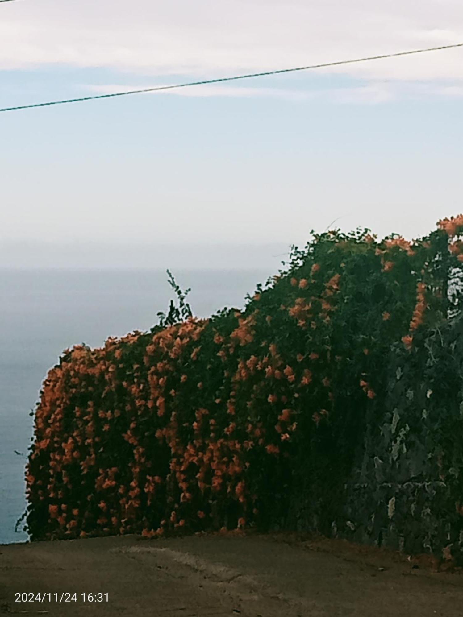 Finca Rural House Tenerife Relax And Enjoy サンタ・ウルスラ エクステリア 写真