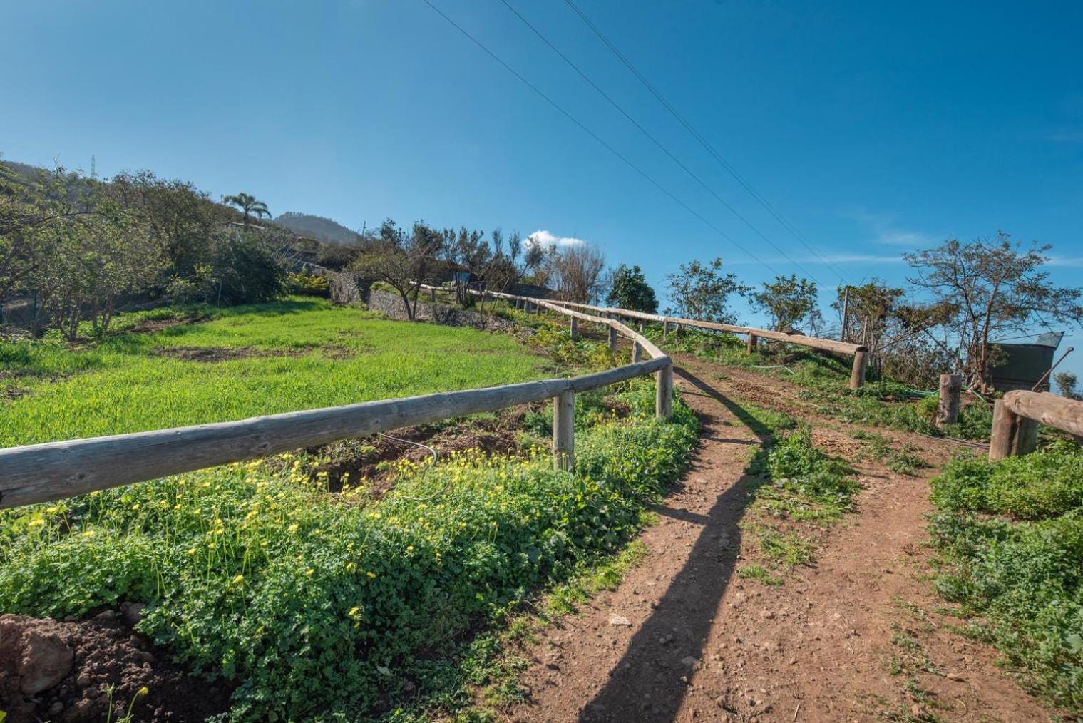 Finca Rural House Tenerife Relax And Enjoy サンタ・ウルスラ エクステリア 写真