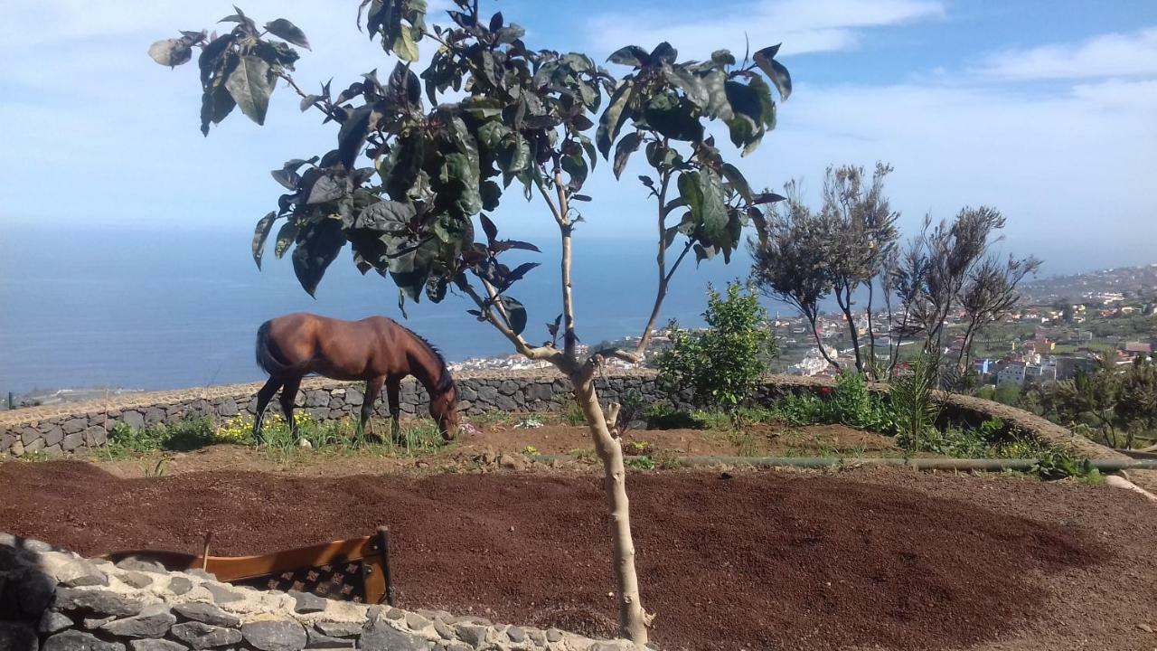 Finca Rural House Tenerife Relax And Enjoy サンタ・ウルスラ エクステリア 写真